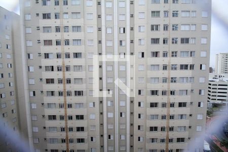 Quarto 1 de apartamento para alugar com 2 quartos, 43m² em Jardim Iris, São Paulo