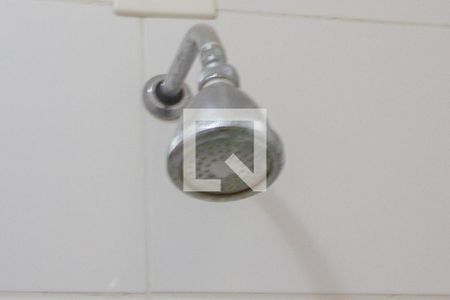 Casa à venda com 1000m², 7 quartos e 5 vagasChuveiro