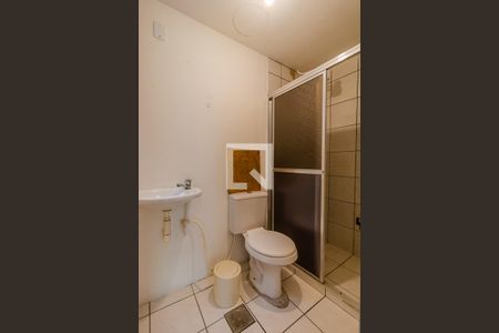 Banheiro de apartamento para alugar com 1 quarto, 51m² em Vila Nova, Porto Alegre