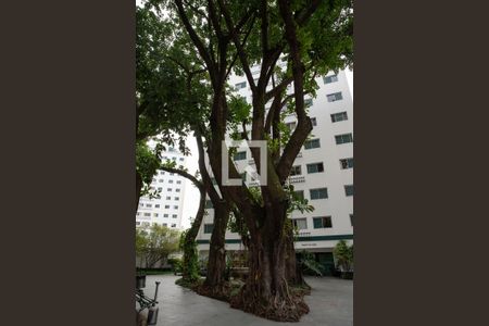 Apartamento à venda com 64m², 2 quartos e 1 vagaÁrea comum