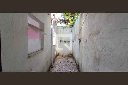 Casa para alugar com 306m², 3 quartos e 3 vagasJardim de inverno 