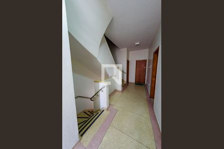 Corredor de apartamento para alugar com 3 quartos, 95m² em Nova Suíssa, Belo Horizonte