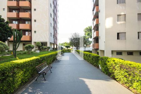 Apartamento à venda com 56m², 2 quartos e 1 vagajardim