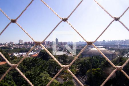 Vista da Varanda da Sala de apartamento para alugar com 3 quartos, 246m² em Anchieta, São Bernardo do Campo