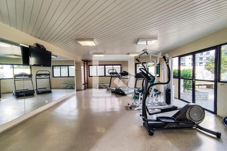 Apartamento à venda com 274m², 4 quartos e 4 vagasÁrea Comum - Academia