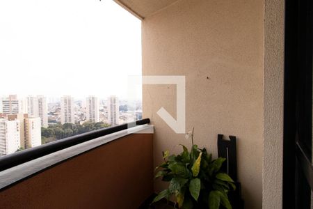 Varanda da Sala de apartamento para alugar com 2 quartos, 52m² em Lauzane Paulista, São Paulo