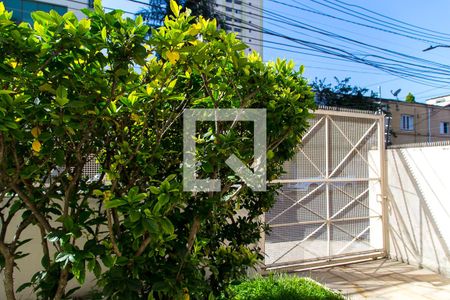 Vista do Quarto 1 de apartamento para alugar com 3 quartos, 110m² em Mirandópolis, São Paulo