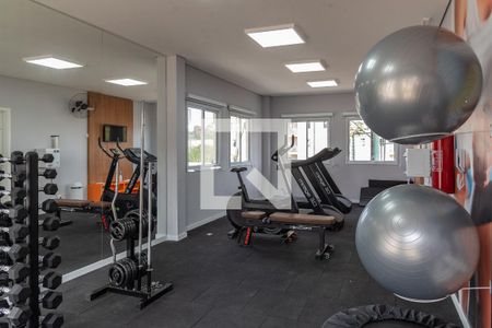 Área comum - Academia de apartamento à venda com 2 quartos, 49m² em Jardim Samambaia, Campinas