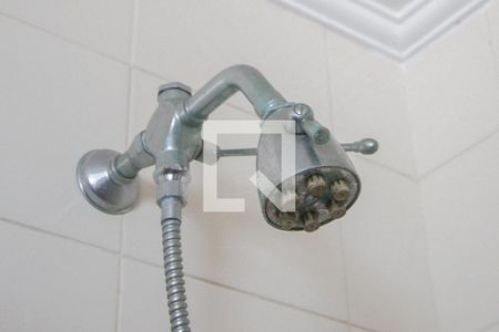 Apartamento à venda com 226m², 4 quartos e 3 vagasChuveiro