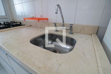 Apartamento à venda com 53m², 2 quartos e 1 vagaCozinha - pia