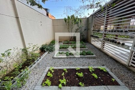 Apartamento para alugar com 62m², 2 quartos e 1 vaga Apartamento para alugar com 62m², 2 quartos e 1 vagaÁrea comum - Horta