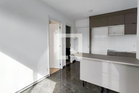Sala de apartamento para alugar com 2 quartos, 38m² em Santo Amaro, São Paulo