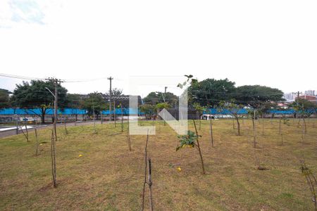 Apartamento à venda com 40m², 1 quarto e 1 vaga Apartamento à venda com 40m², 1 quarto e 1 vagaárea verde