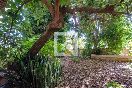 Casa à venda com 640m², 5 quartos e 5 vagas Casa à venda com 640m², 5 quartos e 5 vagasQuintal