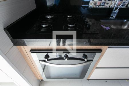 Apartamento para alugar com 45m², 2 quartos e 1 vagaDetalhe cozinha