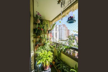 Varanda da Sala de apartamento à venda com 2 quartos, 60m² em Vila Antonio, São Paulo