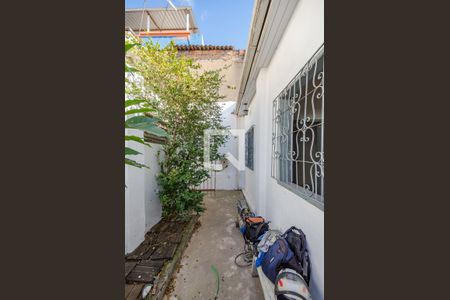 Casa para alugar com 60m², 1 quarto e sem vagaQuintal