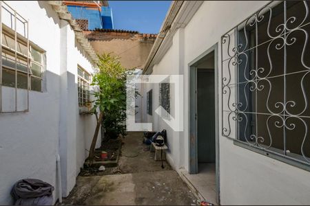 Casa para alugar com 60m², 1 quarto e sem vagaQuintal