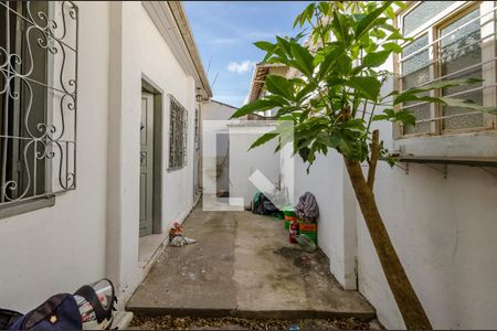 Casa para alugar com 60m², 1 quarto e sem vagaQuintalQuintal