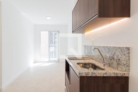 Apartamento para alugar com 31m², 1 quarto e sem vagaCozinha