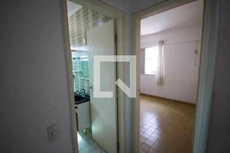 Corredor de apartamento para alugar com 1 quarto, 60m² em Cidade Ocian, Praia Grande