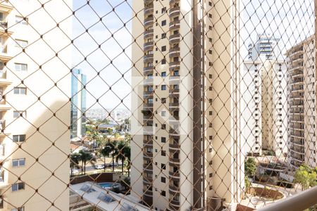 Apartamento para alugar com 137m², 3 quartos e 2 vagas Apartamento para alugar com 137m², 3 quartos e 2 vagasVista da Varanda