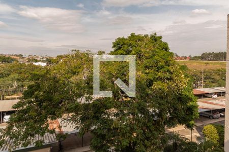 Vista da Sala de apartamento à venda com 3 quartos, 77m² em Jardim Sao Joao, Campinas