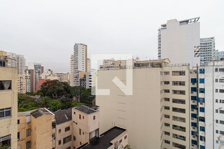 Studio para alugar com 29m², 1 quarto e sem vagaVista