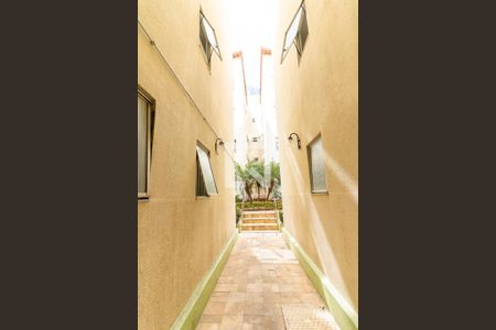 Apartamento para alugar com 60m², 3 quartos e 1 vaga Apartamento para alugar com 60m², 3 quartos e 1 vagaÁrea comum