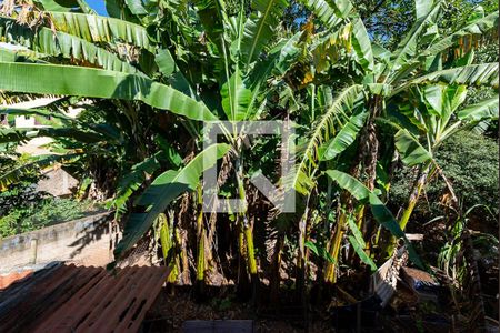 Casa à venda com 360m², 3 quartos e 2 vagasVista da Suíte do Terraço