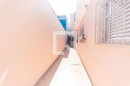 Casa à venda com 283m², 5 quartos e 2 vagasQuintal