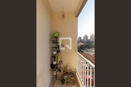 Varanda de apartamento para alugar com 2 quartos, 52m² em Vila Pierina, São Paulo