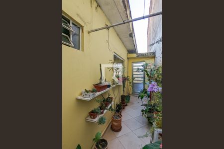 Casa à venda com 179m², 3 quartos e 2 vagasChurrasqueira