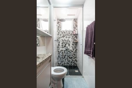 Banheiro de apartamento para alugar com 2 quartos, 50m² em Jardim Íris, São Paulo