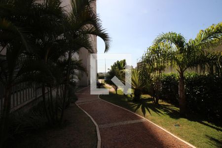 Apartamento para alugar com 80m², 3 quartos e 2 vagasÁrea comum