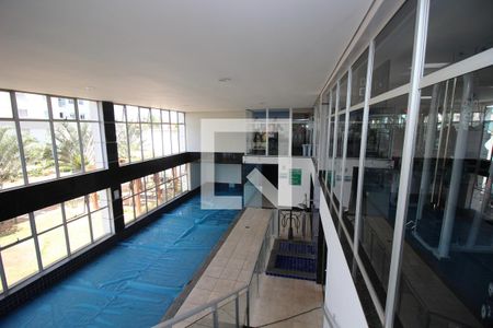Apartamento para alugar com 80m², 3 quartos e 2 vagasÁrea comum - Piscina
