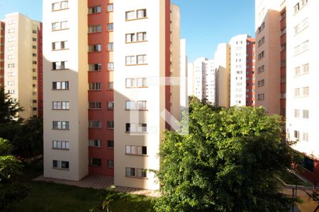 Apartamento à venda com 55m², 2 quartos e 1 vaga Apartamento à venda com 55m², 2 quartos e 1 vagaVista do quarto 1