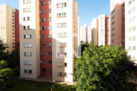 Apartamento à venda com 55m², 2 quartos e 1 vaga Apartamento à venda com 55m², 2 quartos e 1 vagaVista do quarto 2