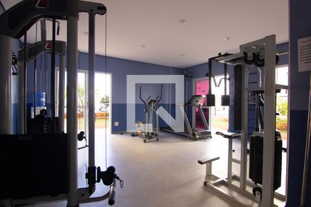 Apartamento para alugar com 70m², 3 quartos e 1 vaga Apartamento para alugar com 70m², 3 quartos e 1 vagaÁrea comum - Academia