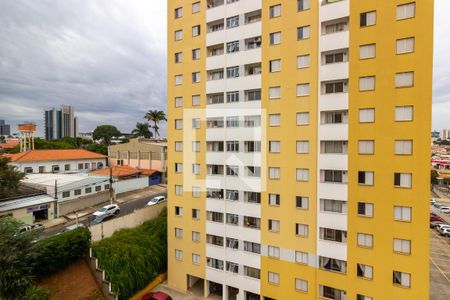 Apartamento para alugar com 70m², 3 quartos e 1 vaga Apartamento para alugar com 70m², 3 quartos e 1 vagaVista do Quarto 1