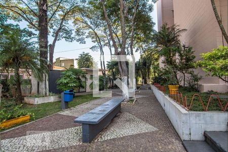 Apartamento para alugar com 52m², 2 quartos e 1 vaga Apartamento para alugar com 52m², 2 quartos e 1 vagaarea condominio