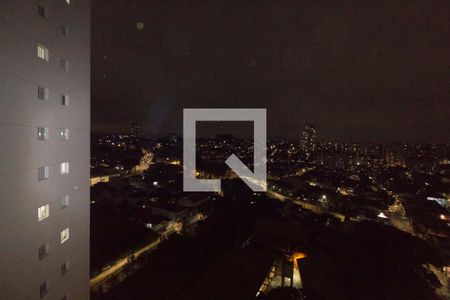 Vista do Quarto 1 de apartamento à venda com 2 quartos, 34m² em Vila Pierina, São Paulo