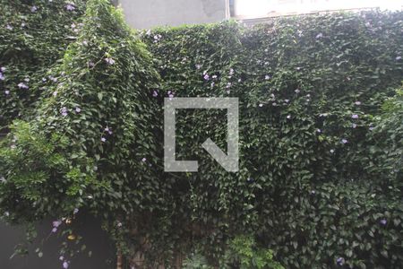 Apartamento para alugar com 44m², 1 quarto e 1 vagaVista