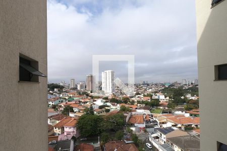 Apartamento à venda com 177m², 4 quartos e 3 vagasVista da Área de Serviço
