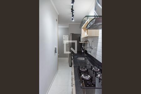 Cozinha de apartamento para alugar com 1 quarto, 30m² em Moema, São Paulo