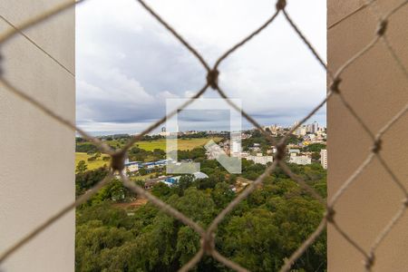Vista da suíte de apartamento para alugar com 2 quartos, 60m² em Parque Brasília, Campinas