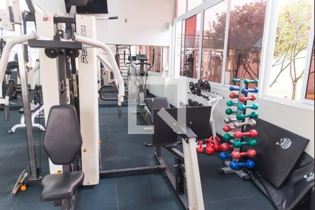 Apartamento para alugar com 225m², 4 quartos e 4 vagasÁrea comum - Academia