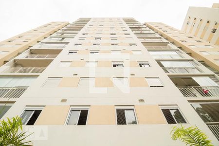 Apartamento para alugar com 56m², 2 quartos e 1 vaga Apartamento para alugar com 56m², 2 quartos e 1 vagaFachada