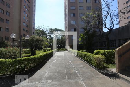 Apartamento para alugar com 64m², 2 quartos e 1 vagaArea Comum