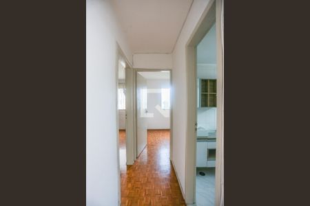 Corredor de apartamento para alugar com 2 quartos, 64m² em Jardim Bonfiglioli, São Paulo